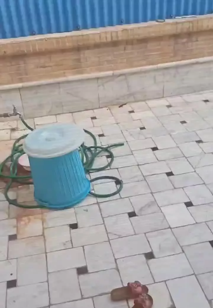 آپارتمان اجاره ای  خ پاسداران