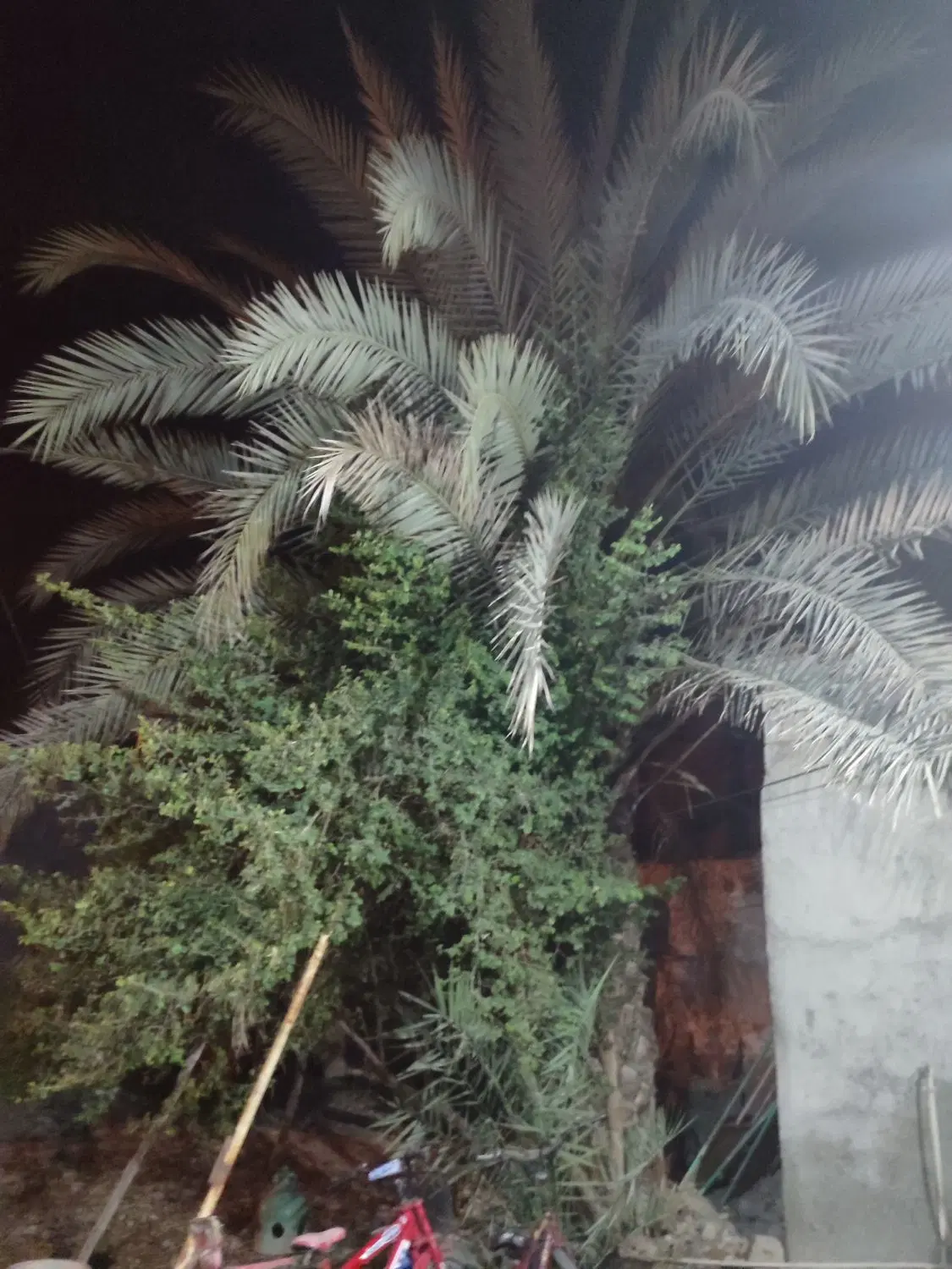 خانه قدیمی 600متری