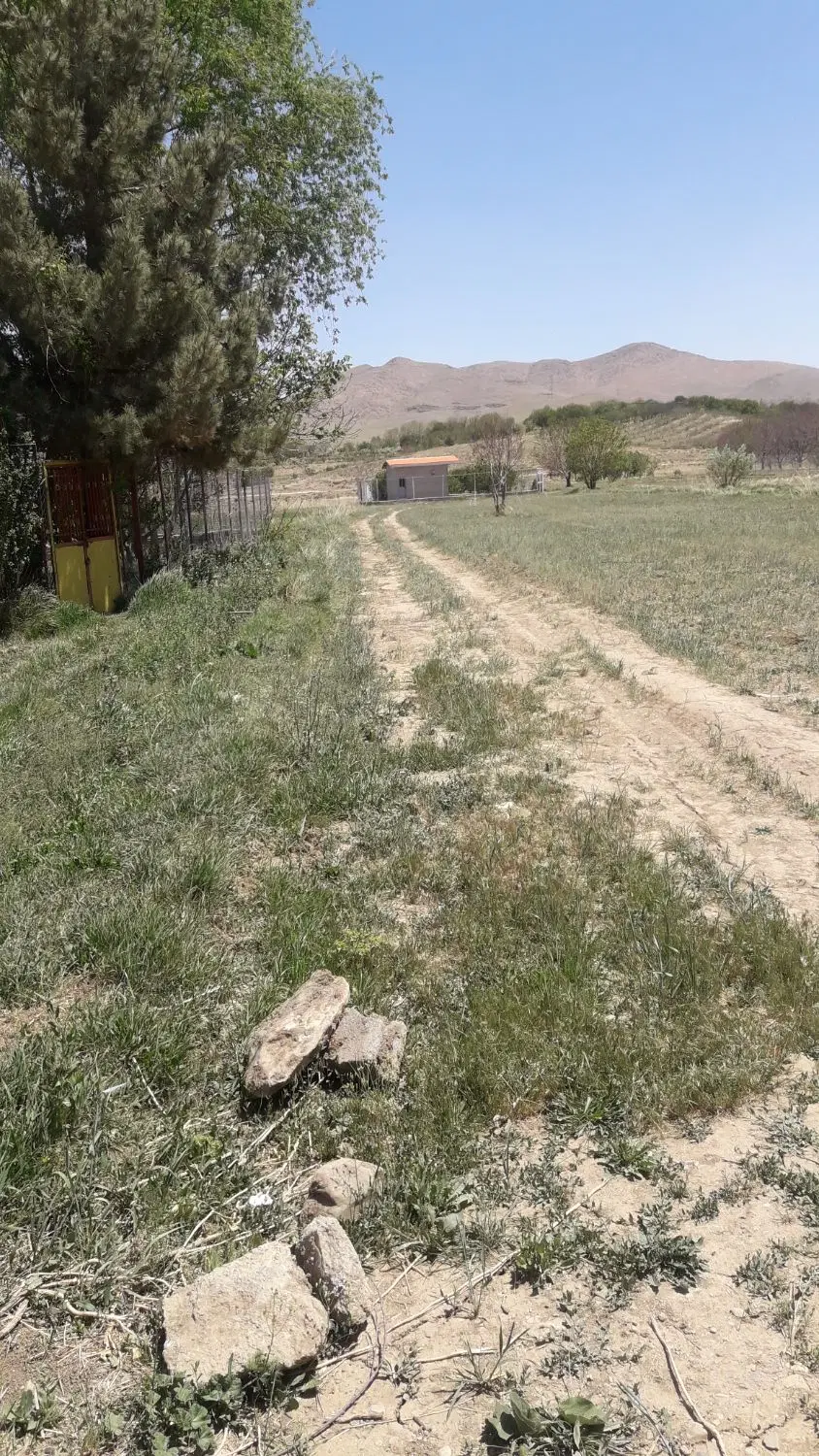 زمین کشاورزی فروشی