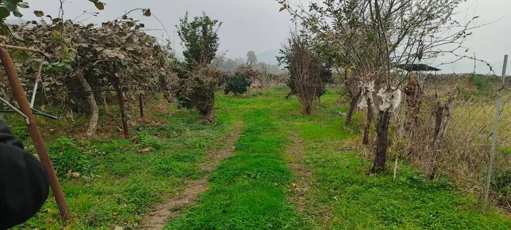 اجاره زمین کشاورزی با آب چاه عمیق