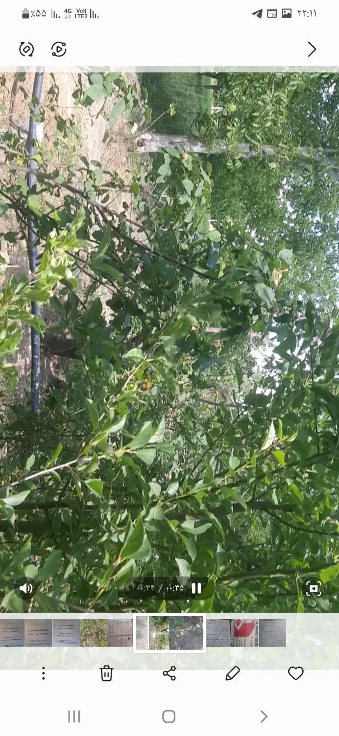 باغچه ویلایی ۱۰۰۰متر با امکانات