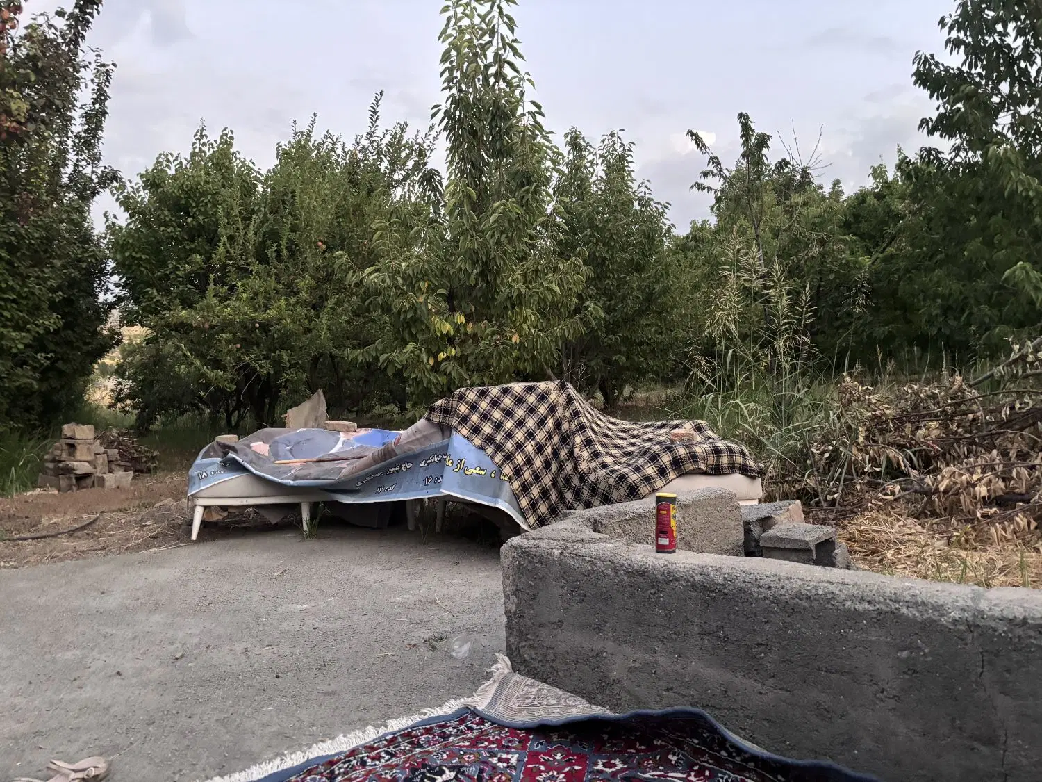 باغ زمین دوشان