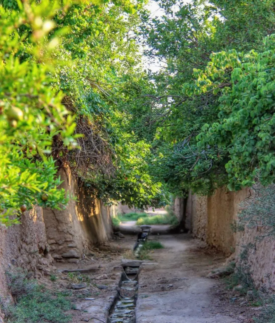 باغ ویلا کوهپایه انارستان