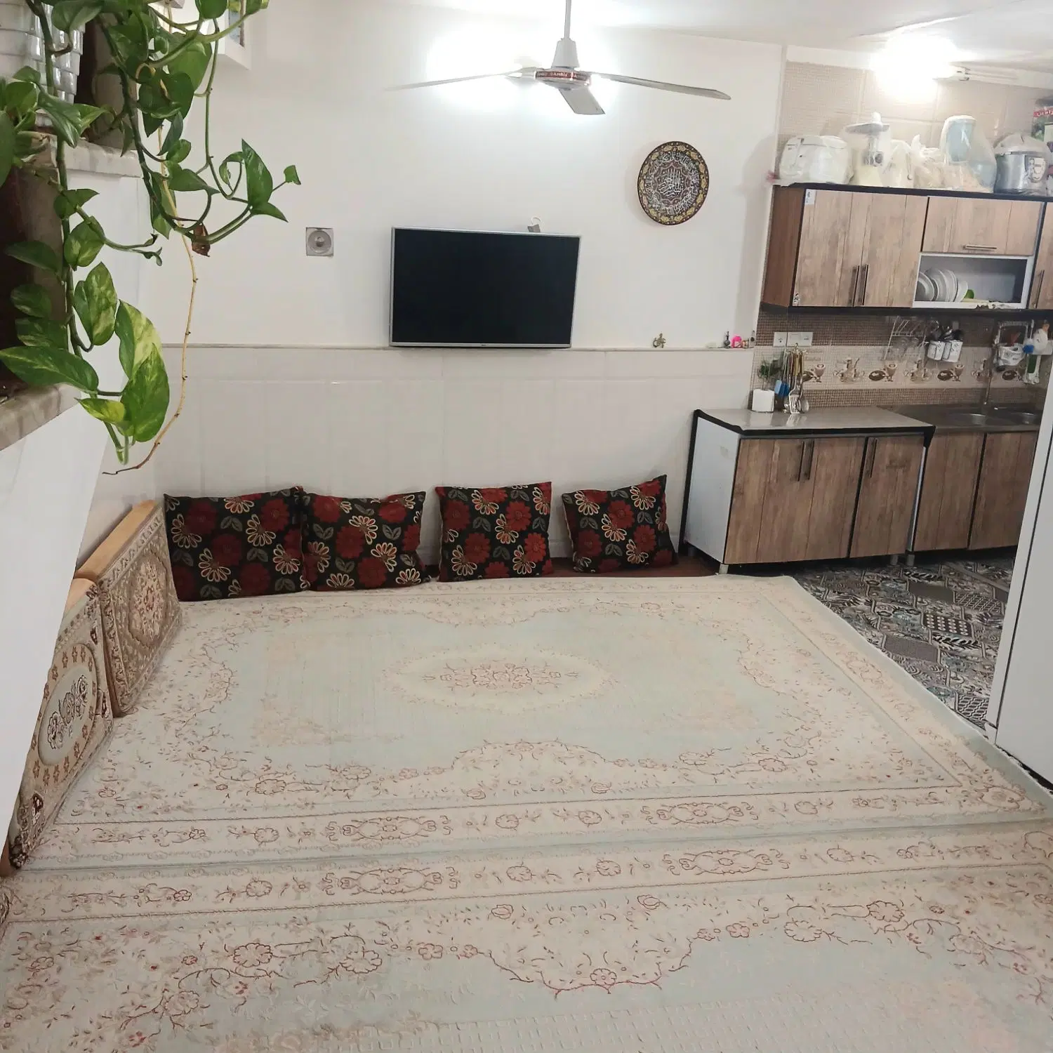 منزلی بسیار دلباز(فروش فوری)