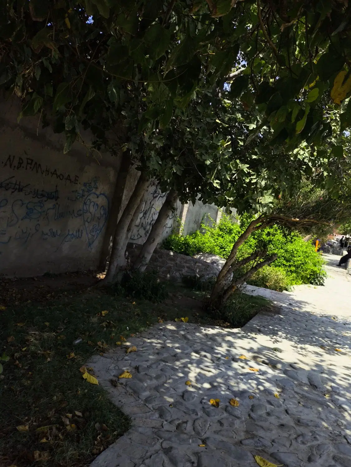 زمین تجاری بلوار سرباز