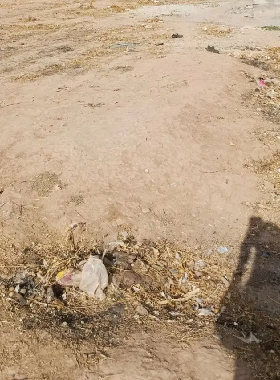 زمین تلوری