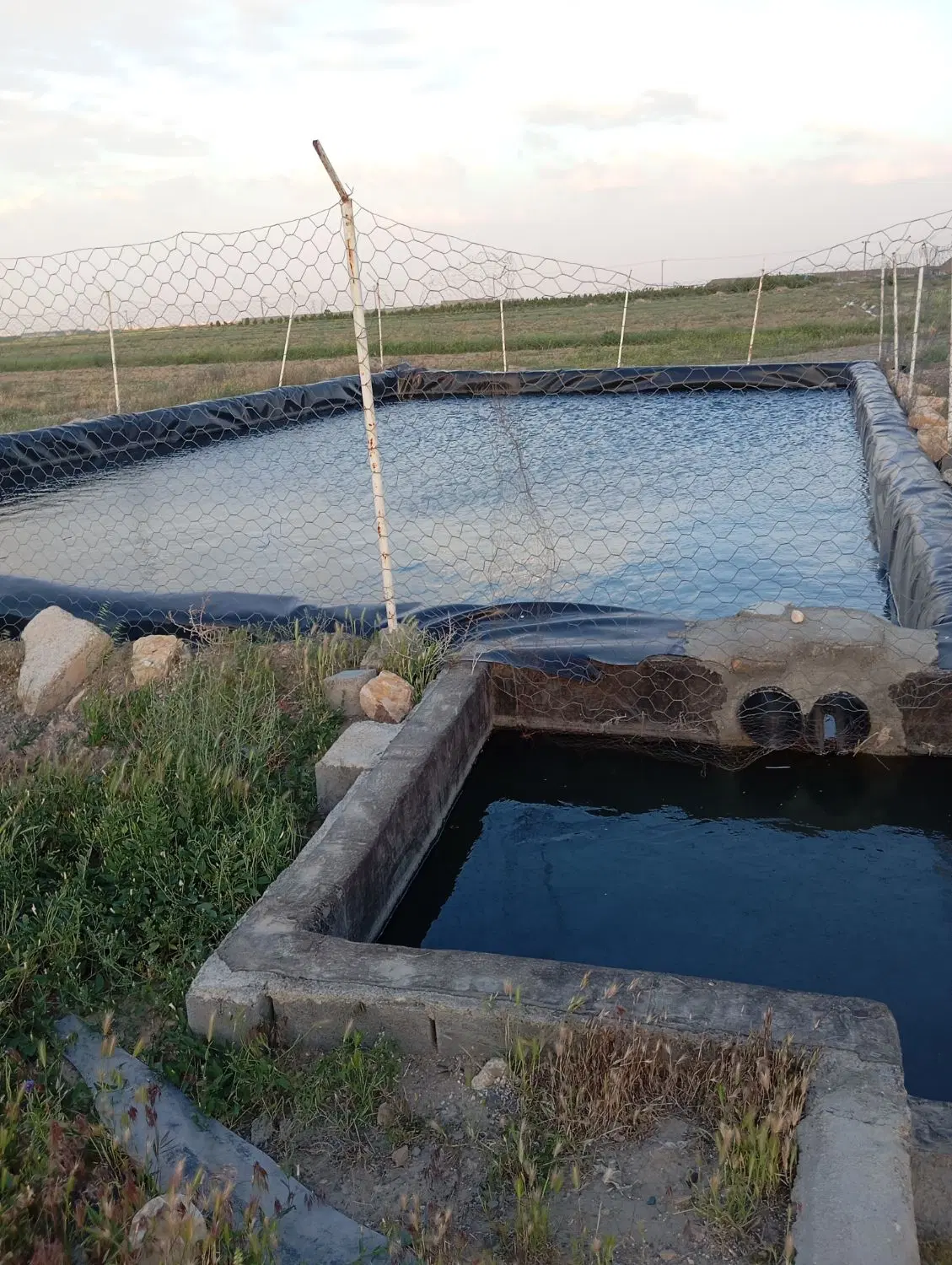 زمین کشاورزی در روستای خیج دارای استخر اب