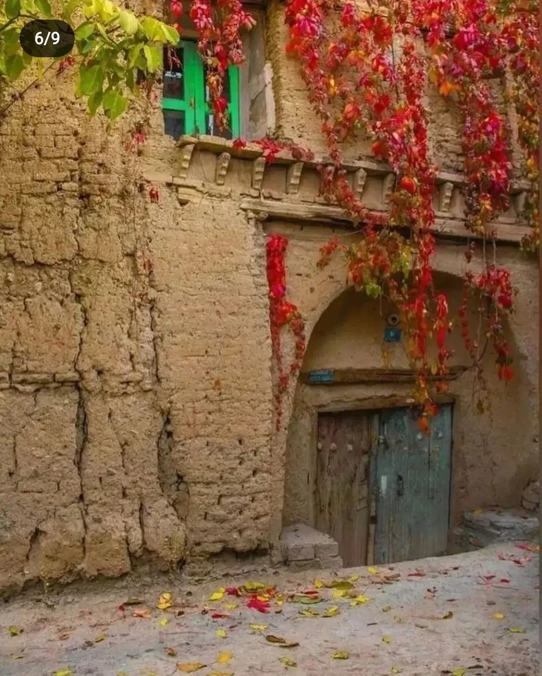 اجاره خانه تک خوابه در طرف شیلان