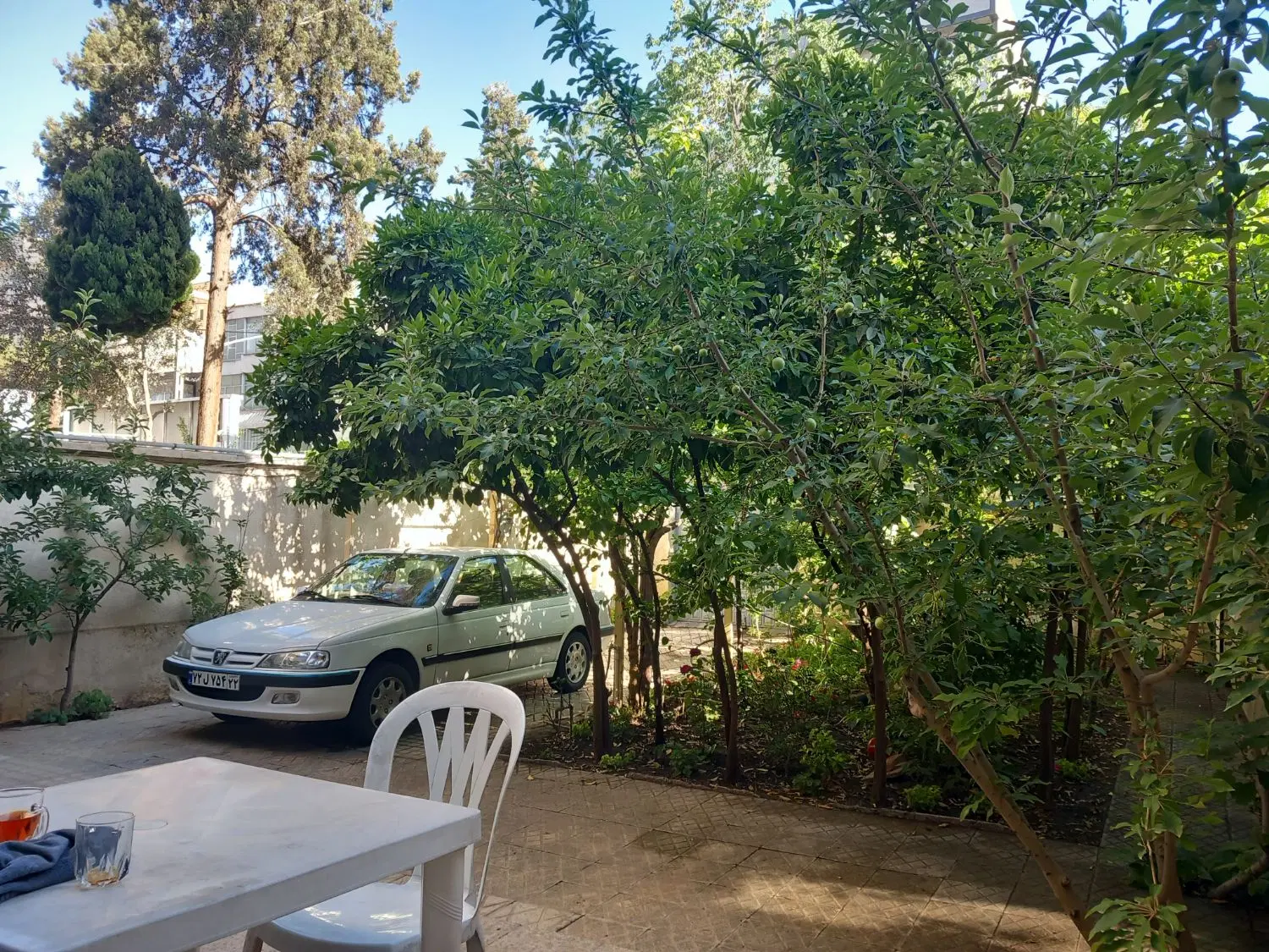 جمهوری بر کلهر ۲۶۳مترحیاط ویلایی ۳طبقه مسکونی