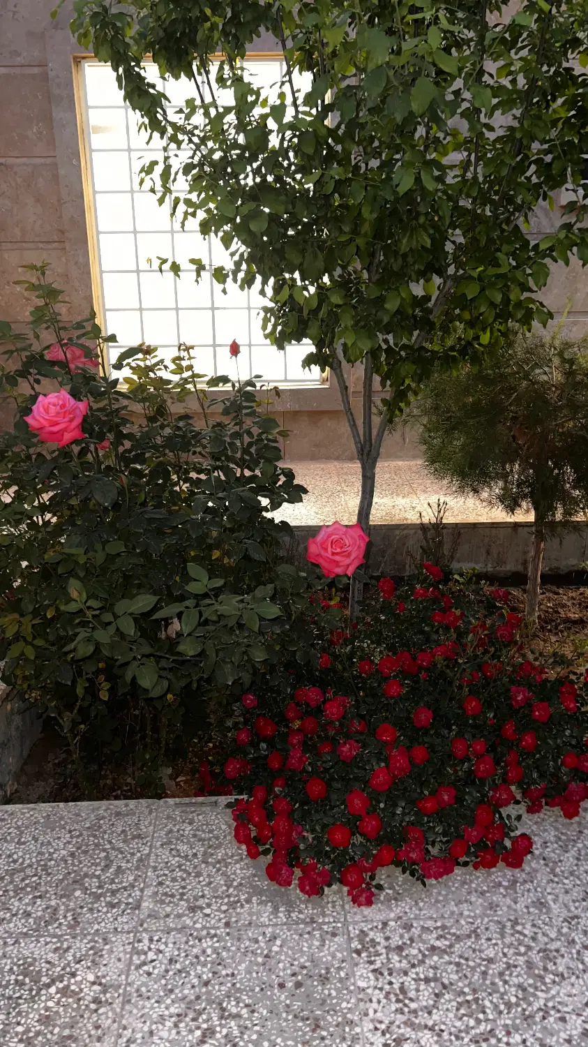 باغ ویلا شاهنامه ۷۶ دهشک ۴۰۰ متر