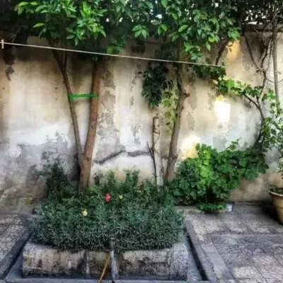 فروش