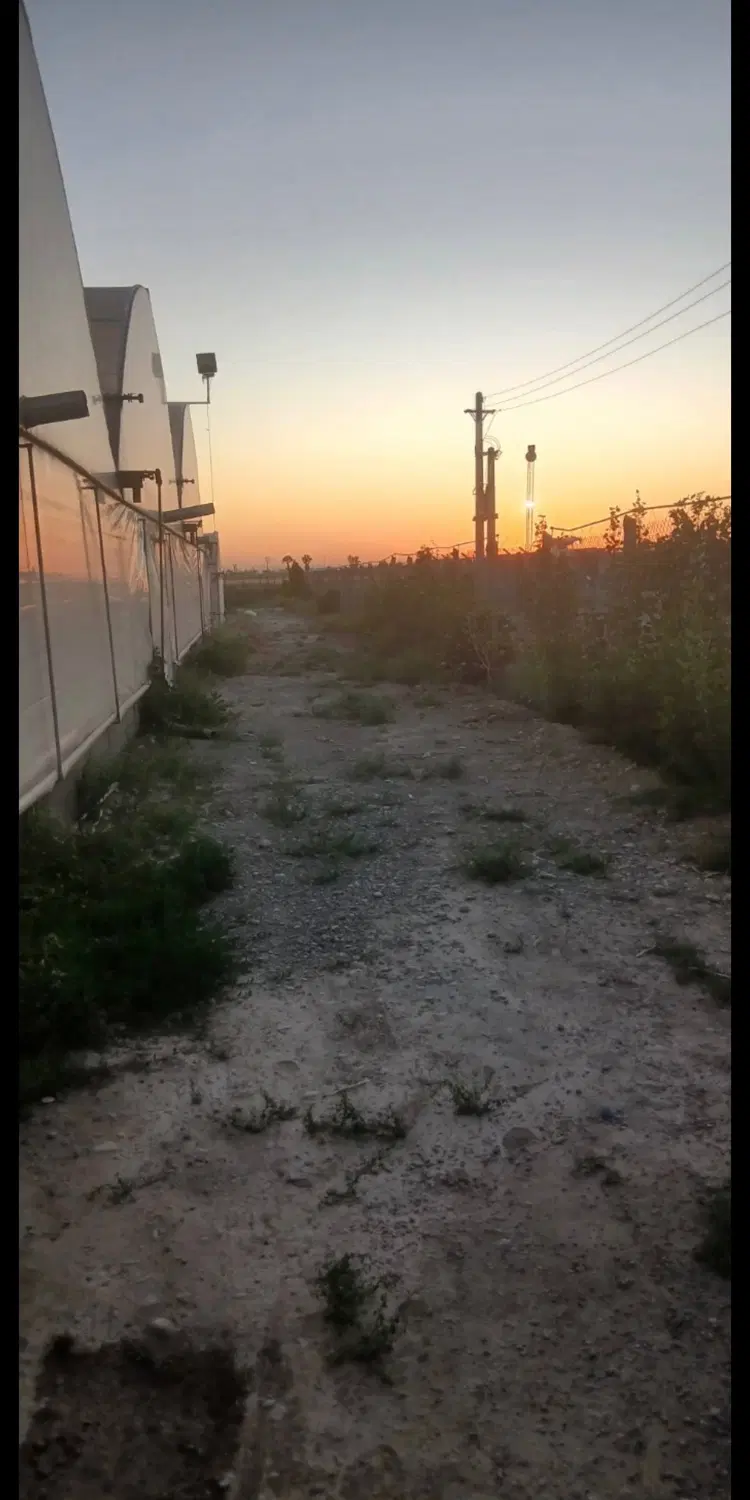 زمین کشاورزی جیتو بلوار کشاورز