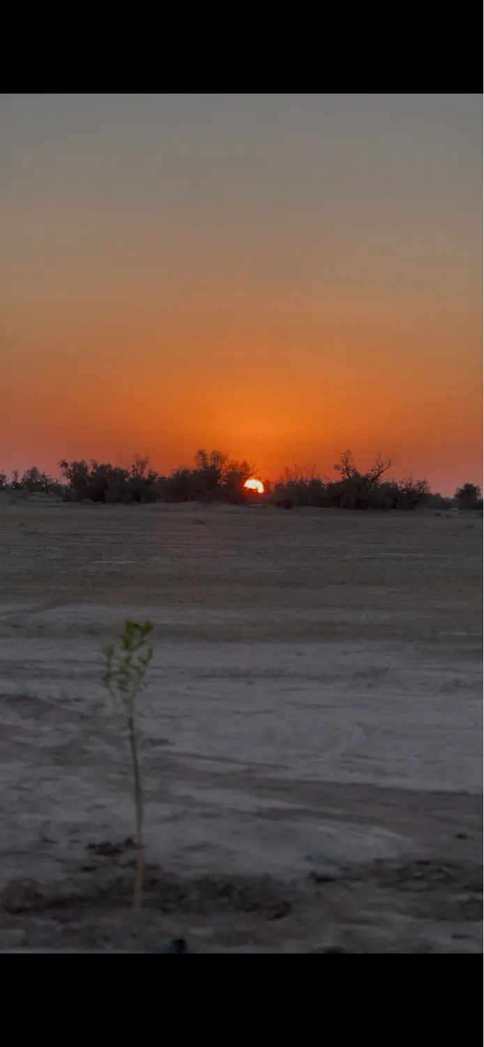 اجاره زمین کشاورزی