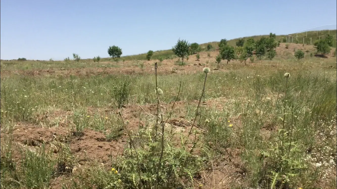فروش زمین دریابک