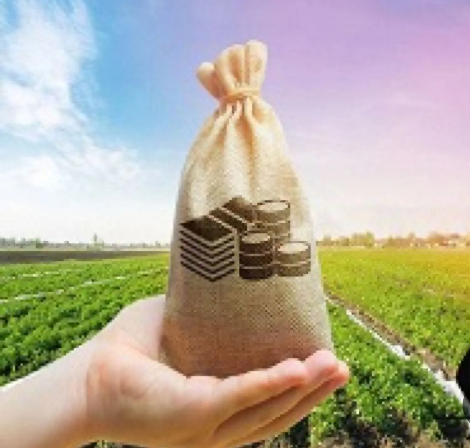 فروش زمین مشاع