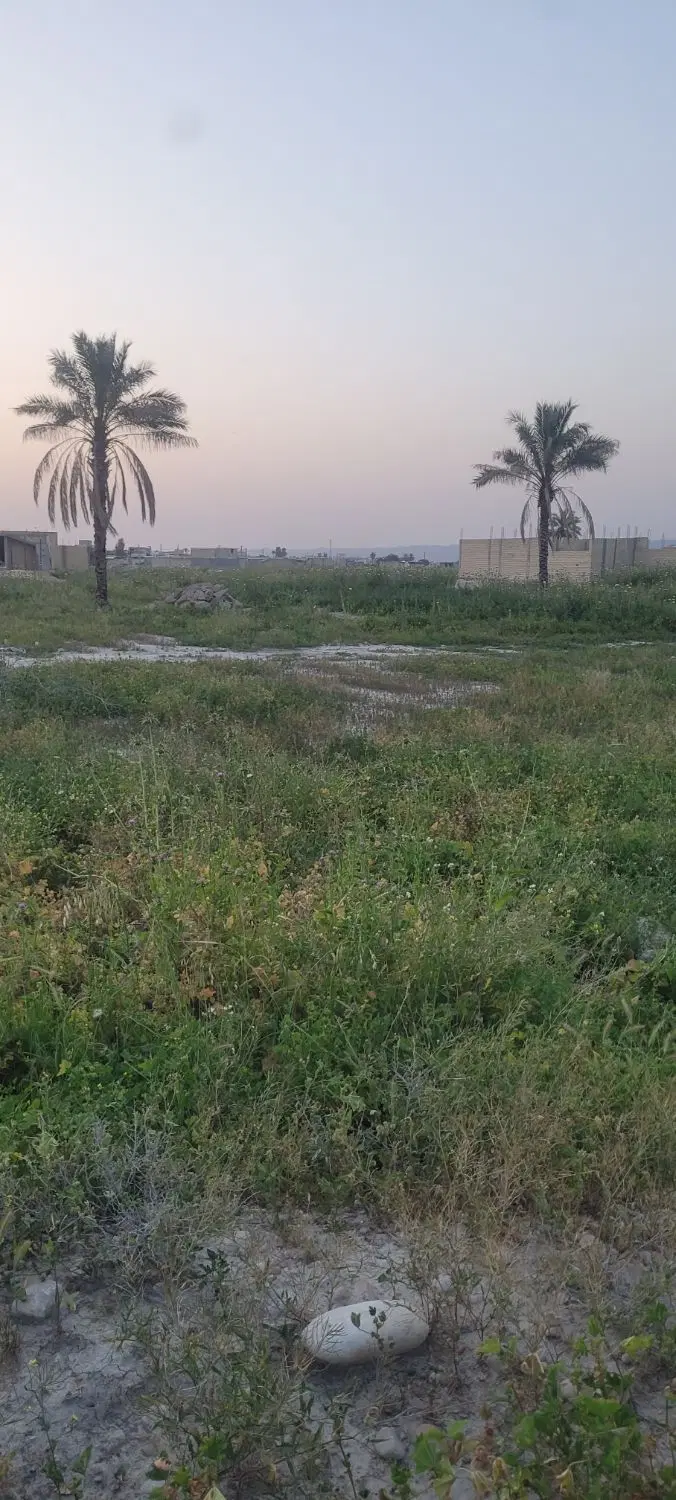 فروش زمین ۱۸۰متر بنه سهراب