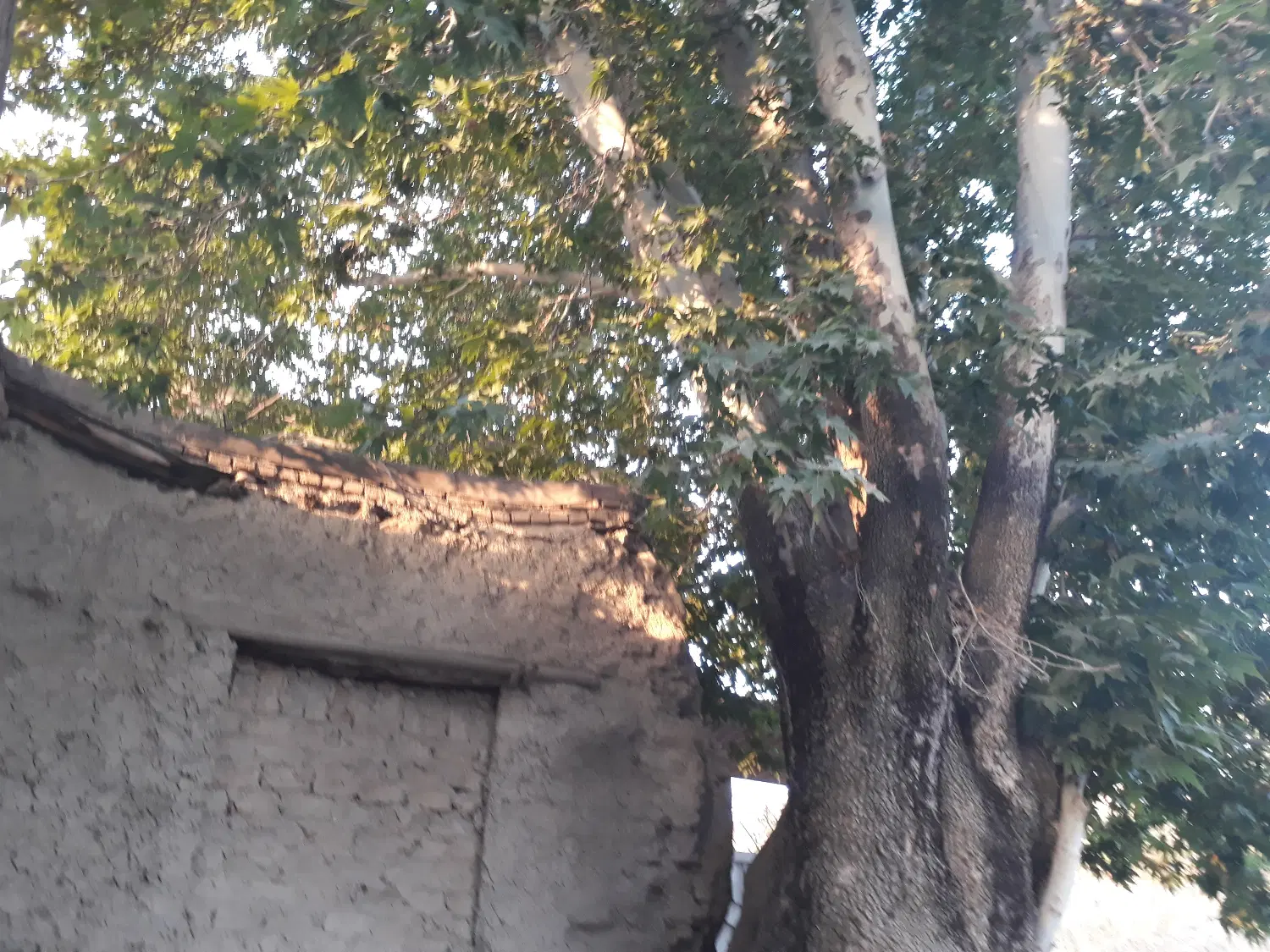 190متر 3 خواب 1پارکینگ تیموریان