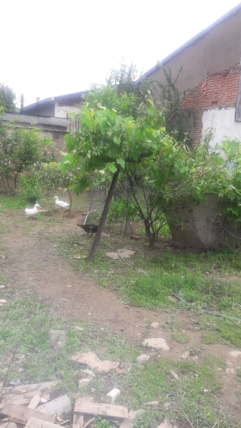 زمین مسکونی جهت مشارکت در ساخت