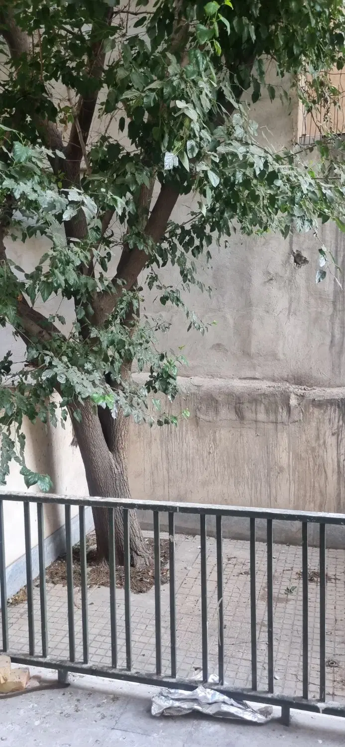 اجاره واحد ۷۵متری تخلیه