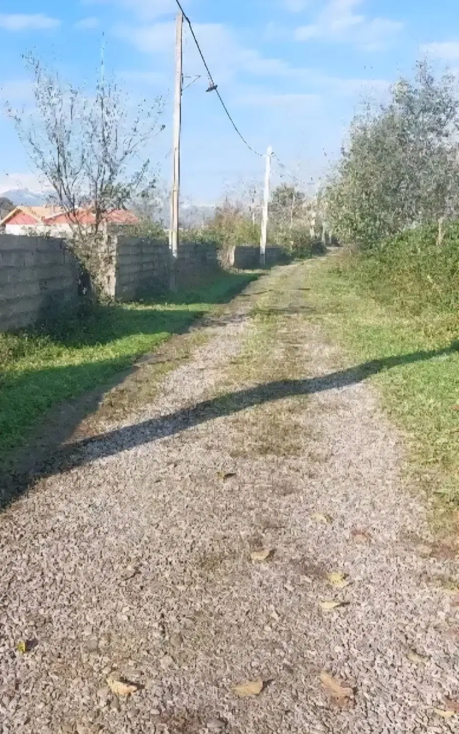 زمین روستایی در قلعه رودخان