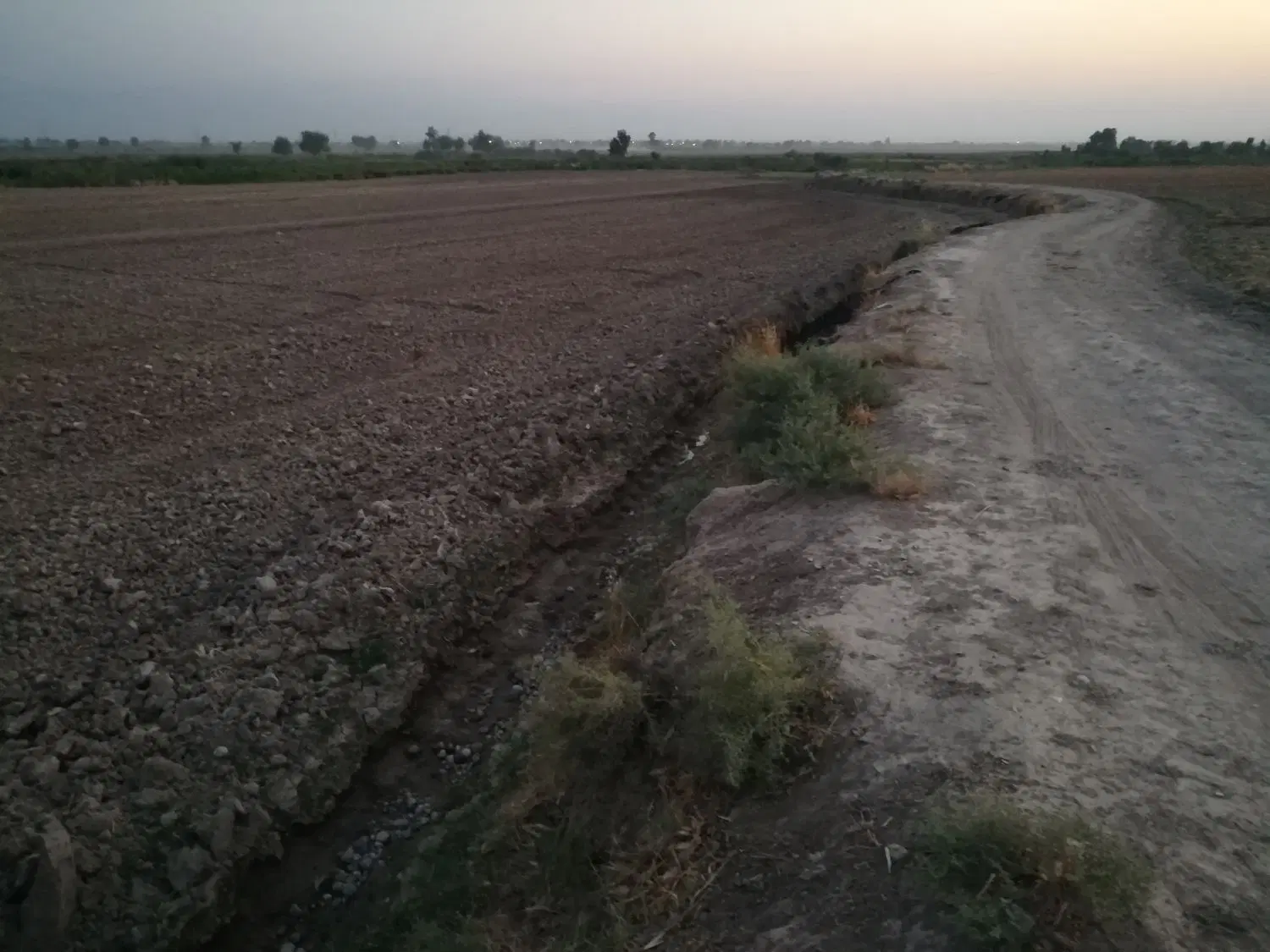 اجاره یک هکتار زمین