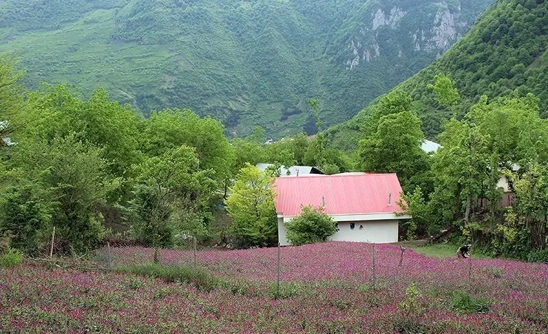 زمین فروشی دارای چشمه آب و سرریز منبع(عکس تزئینی)