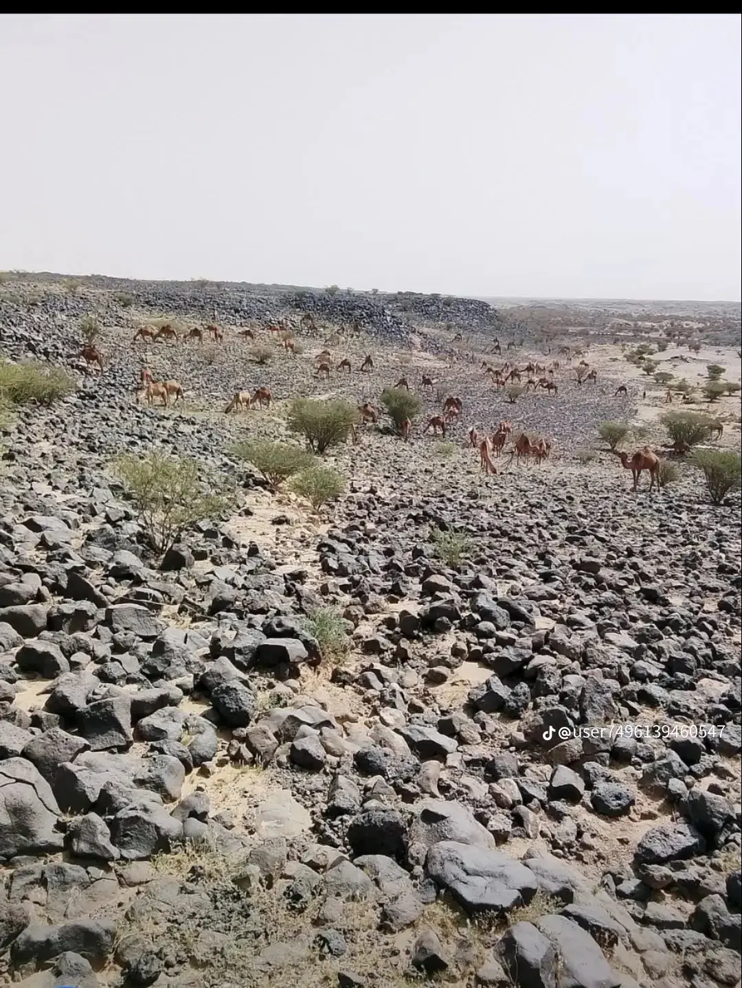زمین فروشی منزلاب