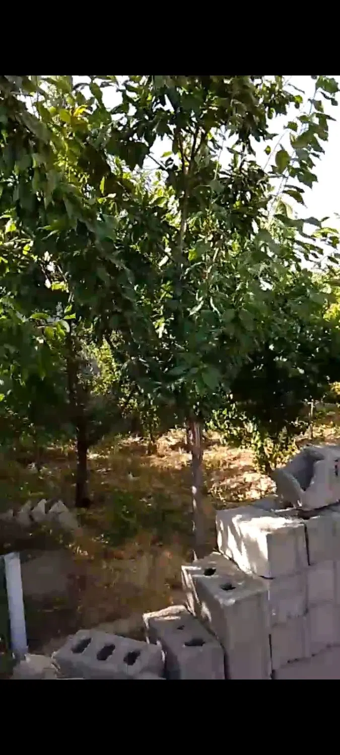 باغچه ۴۰۰ متری معاوضه با واحد در اندیشه