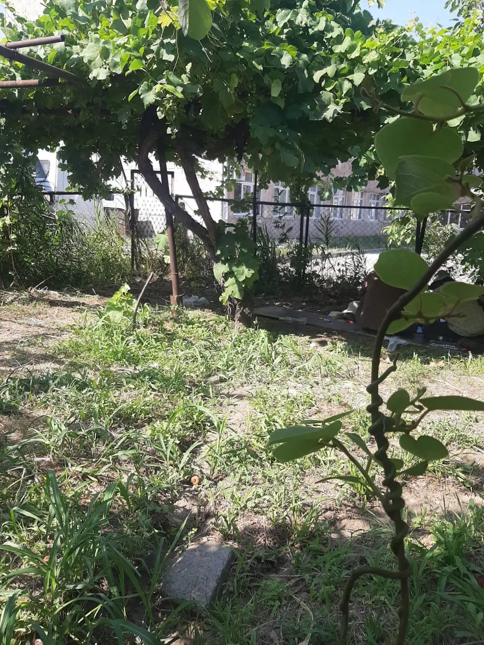 زمین ۱۲۰متری