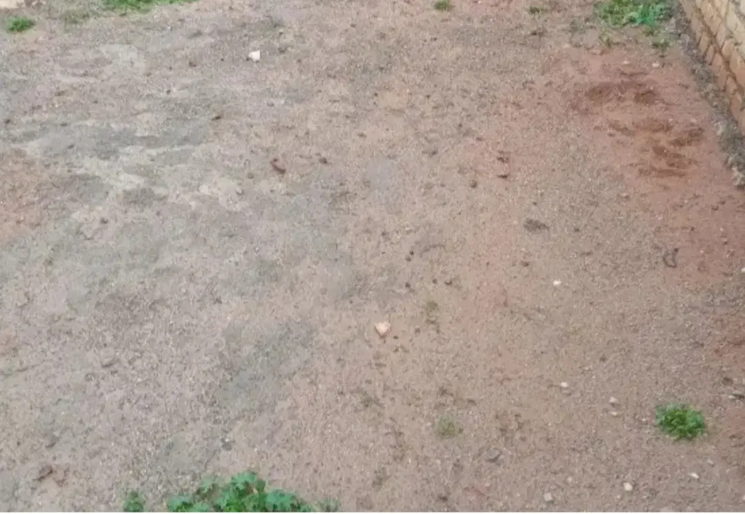زمین ۲۰۰متری جنوبی  شهرک نادی کوچه دهم ۰