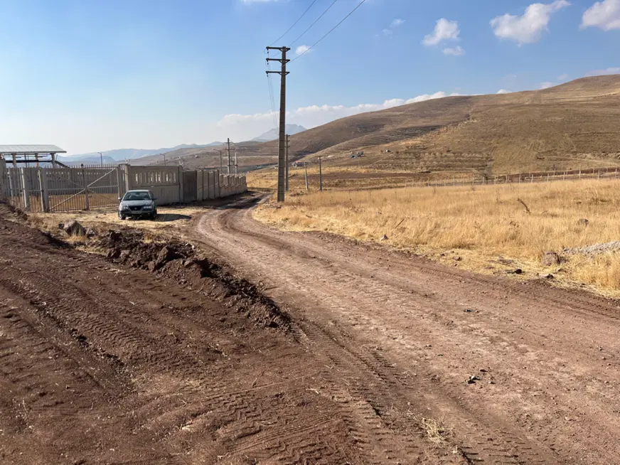 زمین داراب سند تک برگ در زرشک