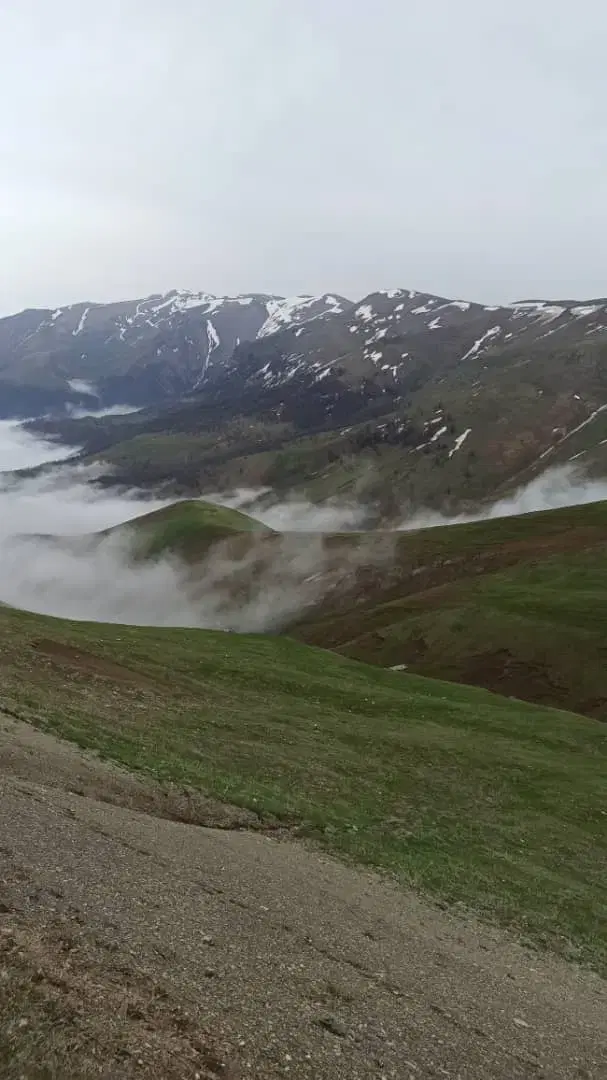 باغ، ویلا، یِر