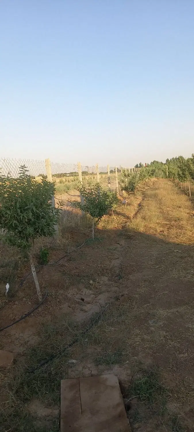 باغ۱۰۰۰متری در محدوده شهر الوند