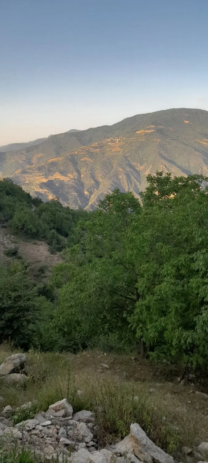 زمین مسکونی