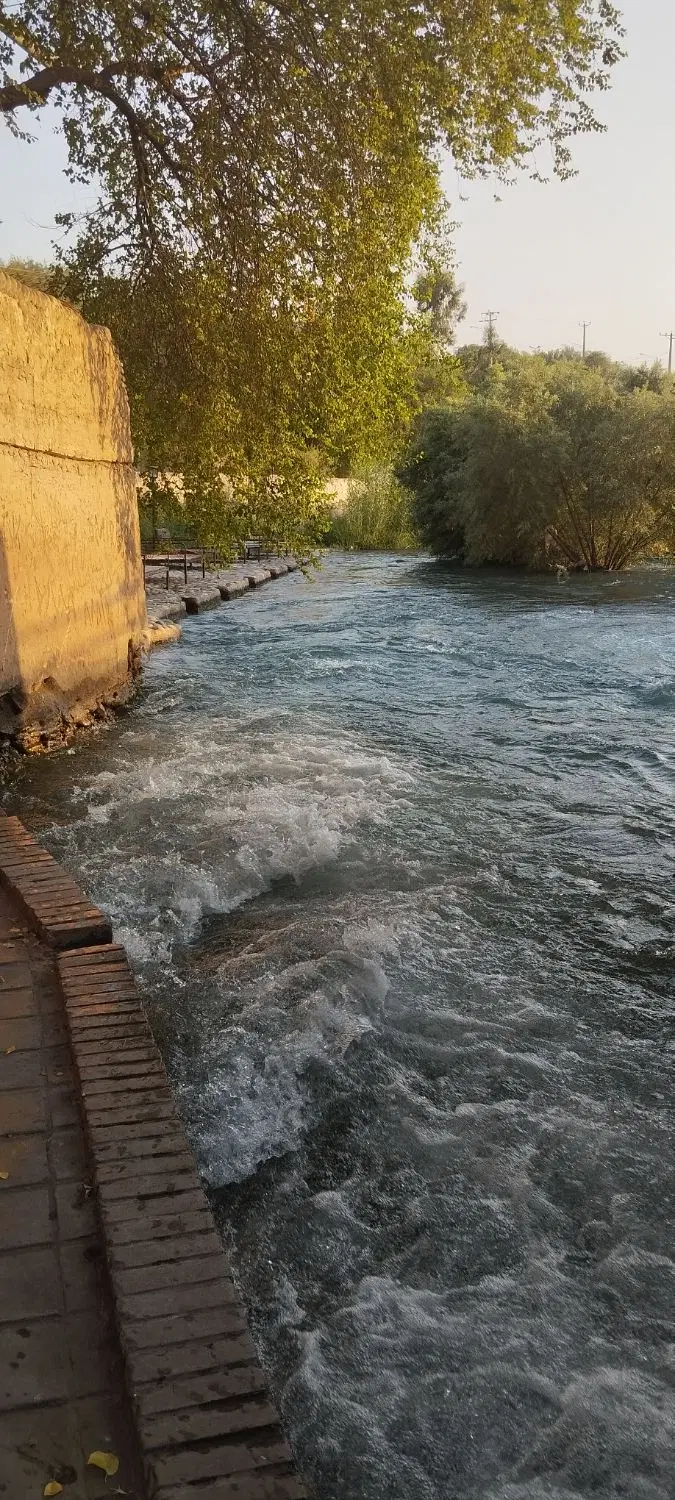باغچه بلوار دانش دیوار و درختدار