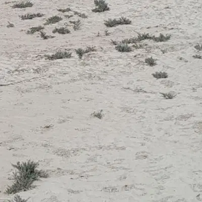 فروش زمین در روستای تیس به متراژ۱۰۰۰متر