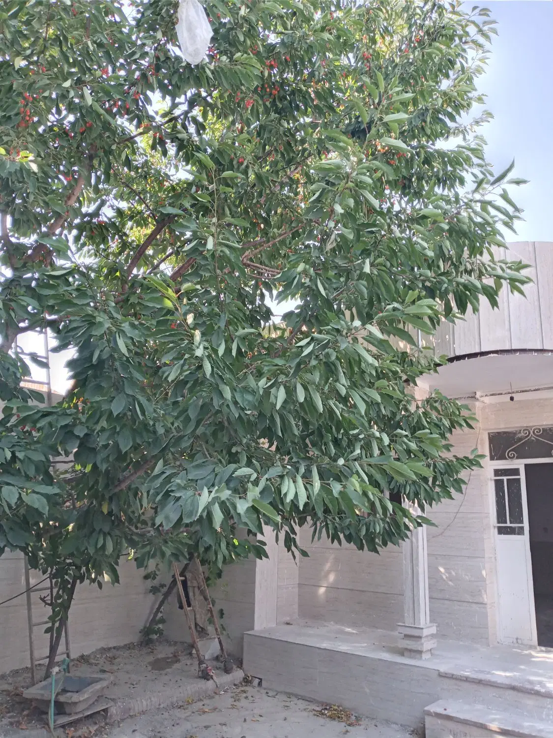 منزل مسکونی دوخوابه
