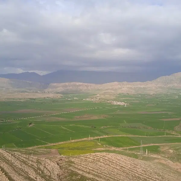 زمین خانه باغ و کشاورزی