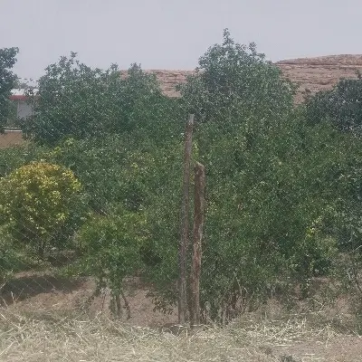 دویست مترزمین مسکونی طرق رودنطنز
