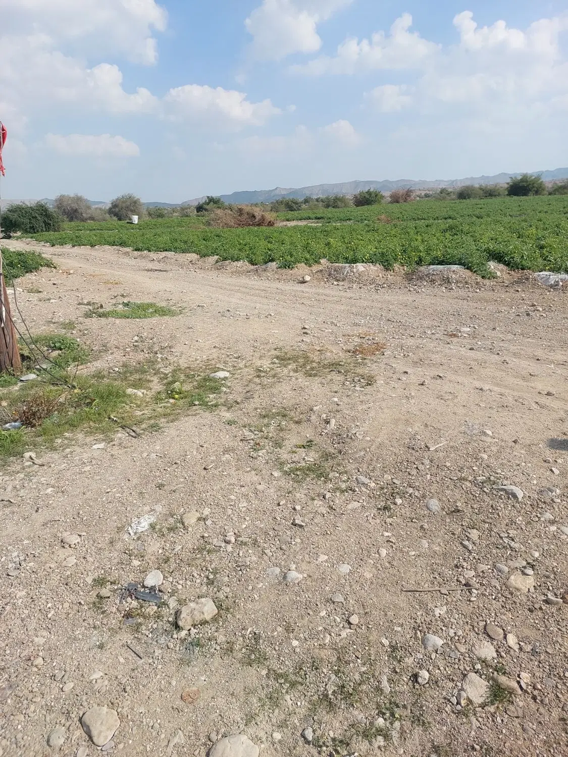 زمین کشاورزی