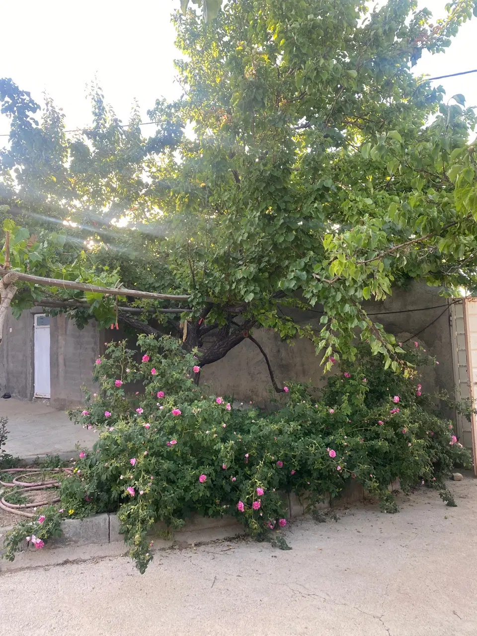 خانه ویلایی قزل تپه
