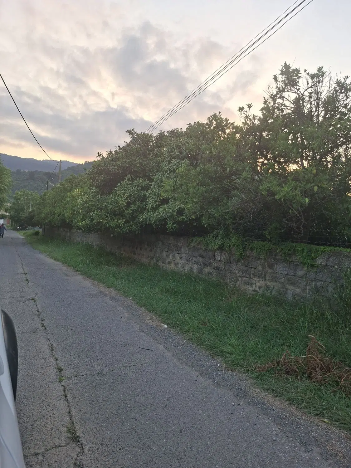 زمین ۶۰۰ متری