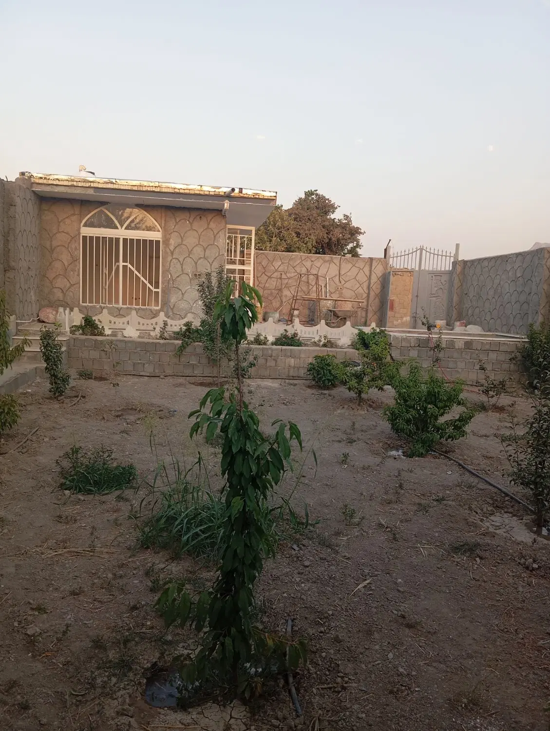 باغچه 300متری