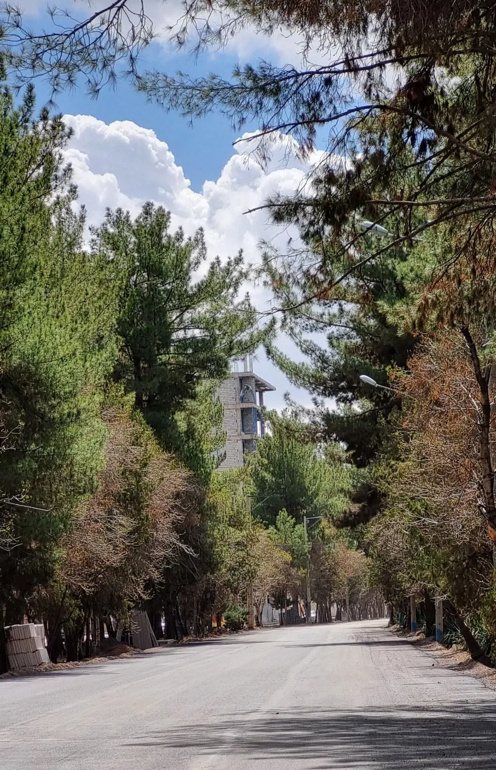 208متر جنوبی مسکونی ابتدای هزار