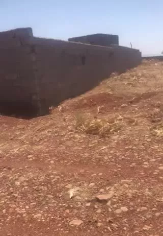 زمین باغ شهری کودیان