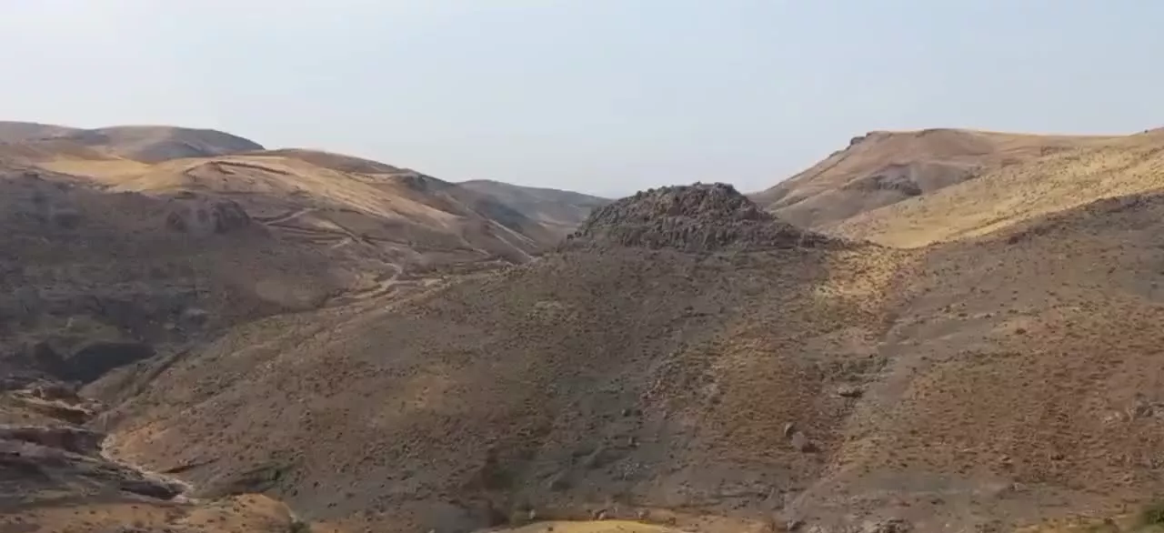 ۱۵ هکتار مزرعه آبی