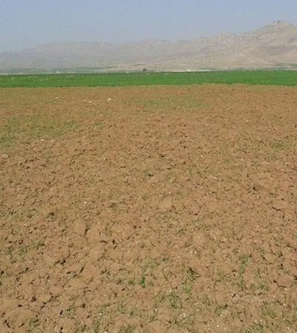 ۲تا۴ هکتار زمین کشاورزی