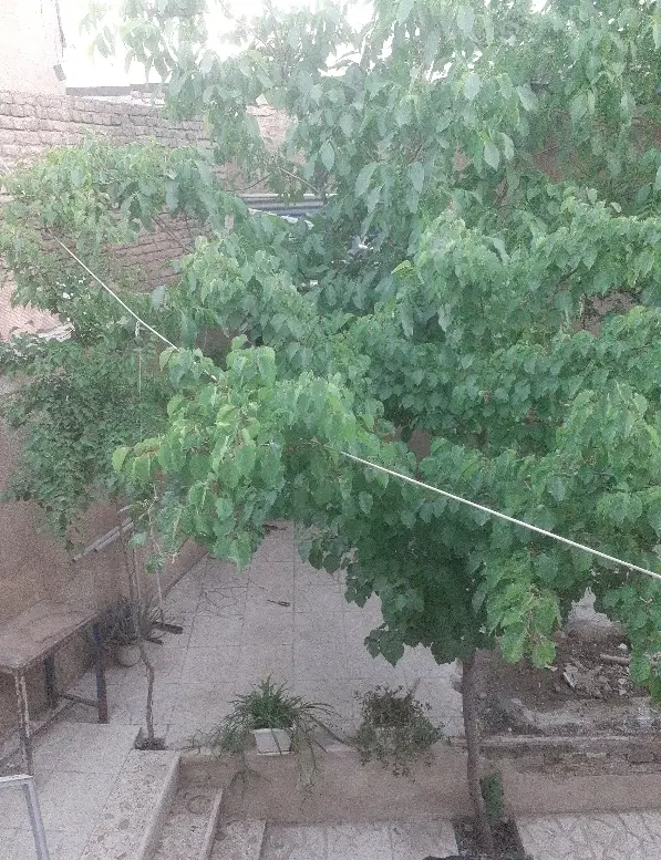 اجاره منزل مسکونی در خیابان خضریان ، فرخ سرشت