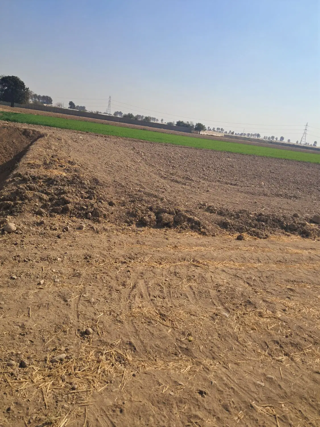 ۵۰۰زمین مناسب سرمایه گذاری
