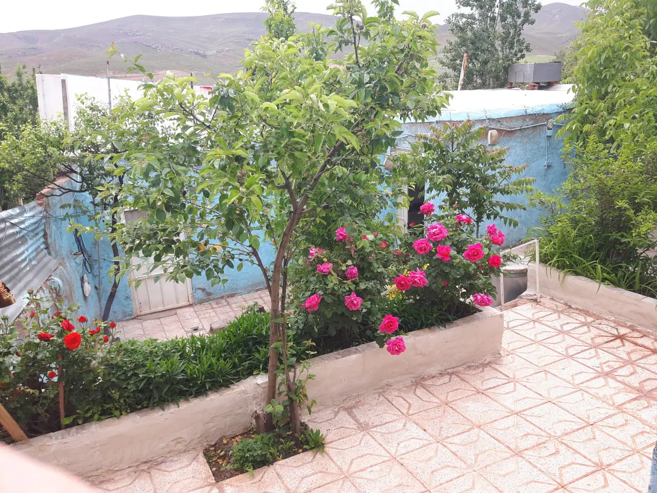 فروش زمین باغ دهسرخ